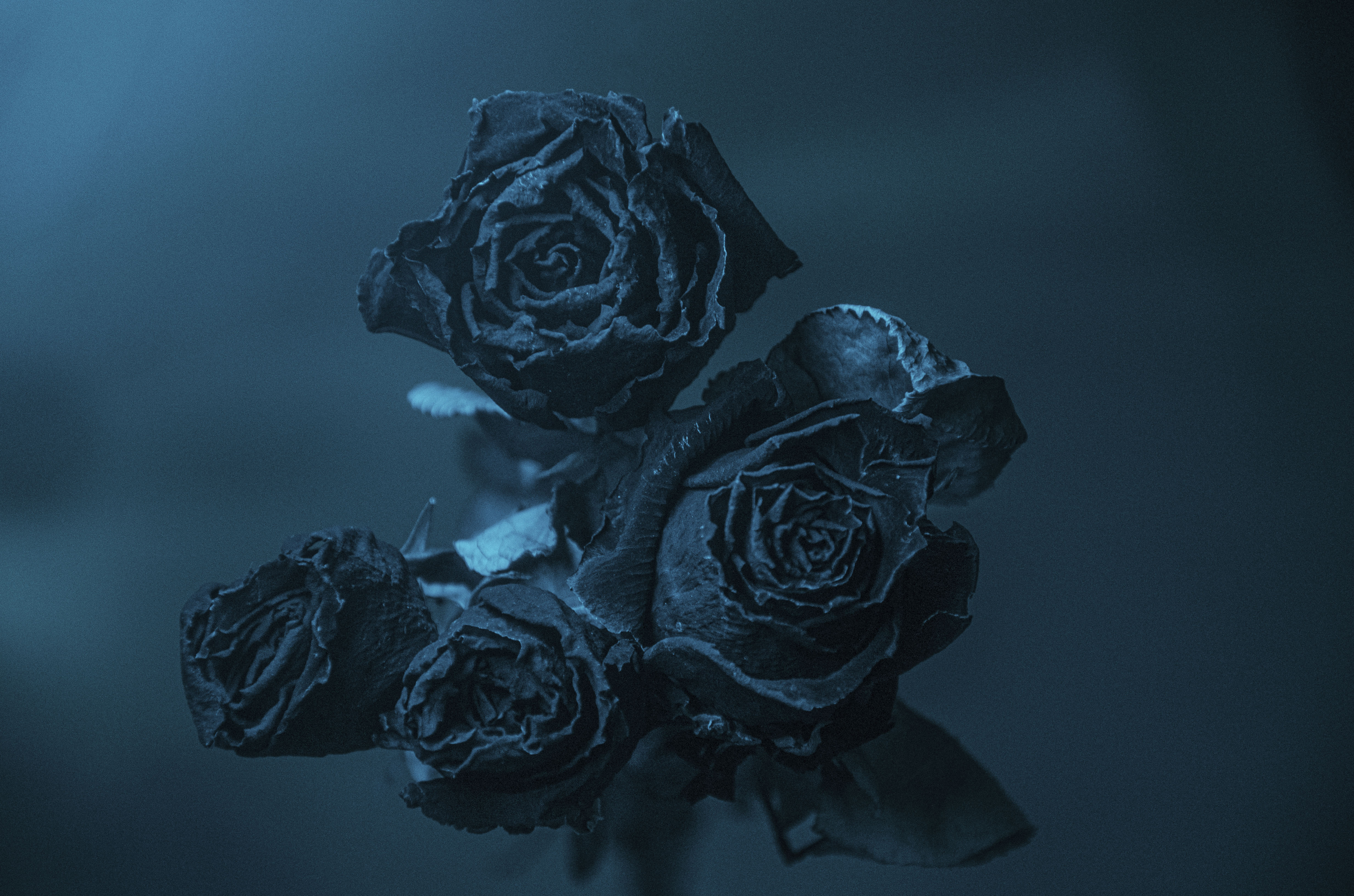 Bonjour Tristesse banner